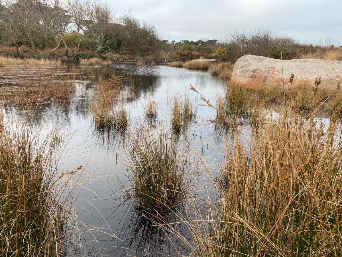 Résidence du Pélican Lannion Esterno foto